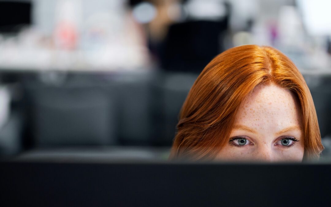 Software Developer (hybride, Leeuwarden, fulltime)